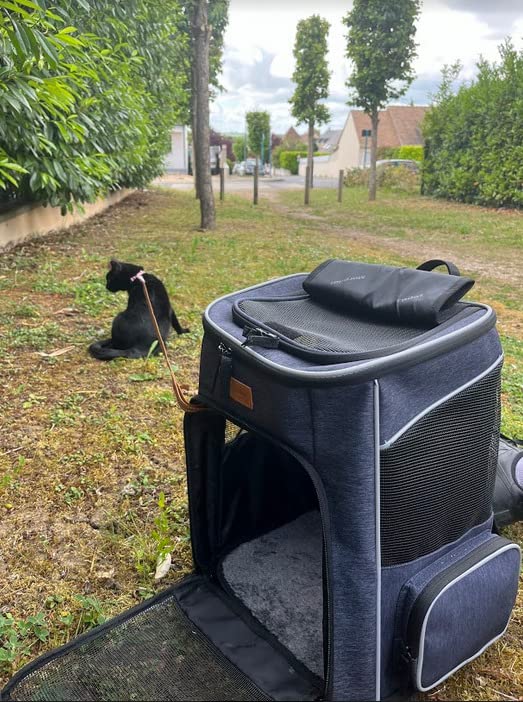 kattenrugzak huisdier