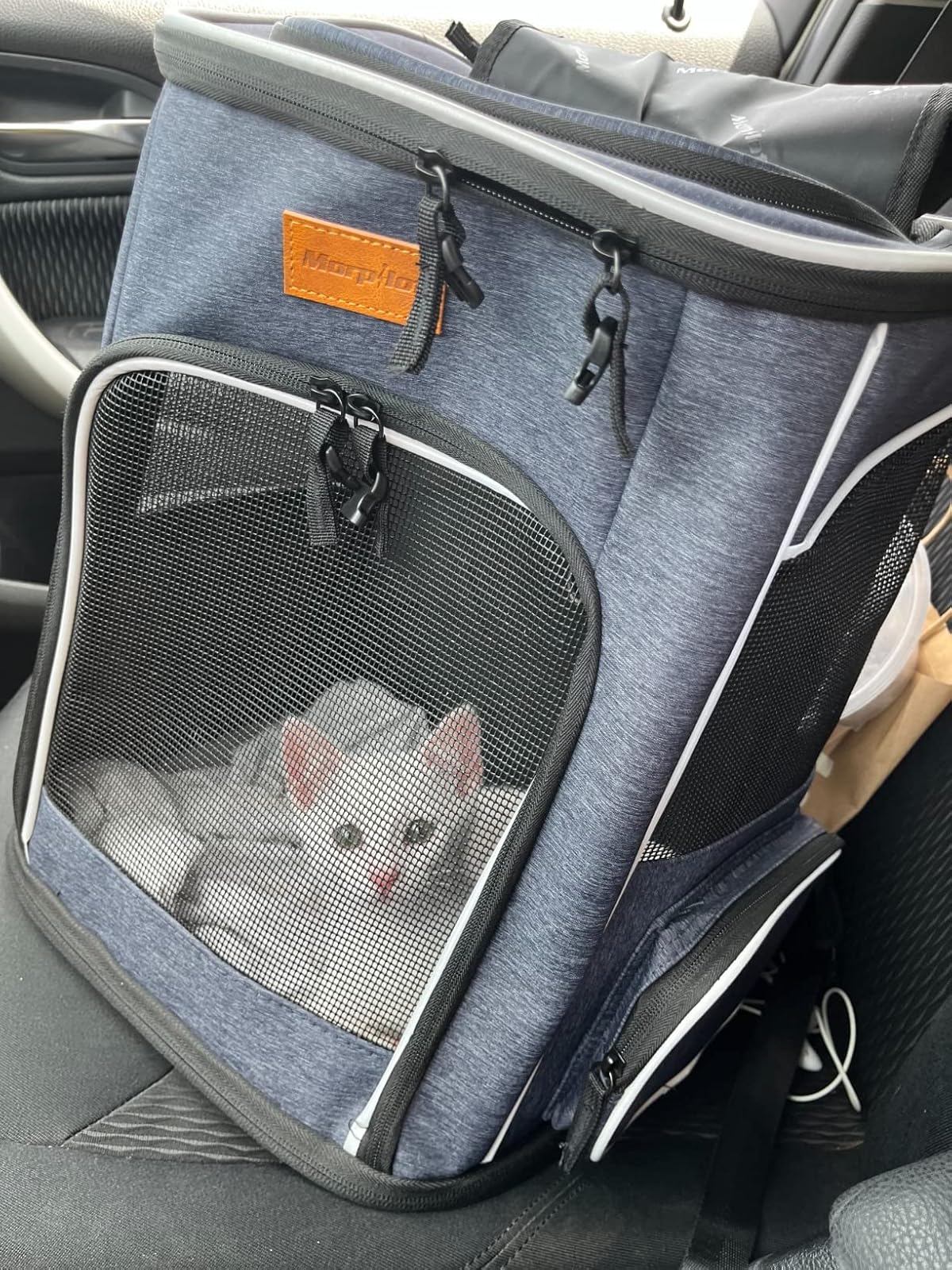 kattenrugzak met venster