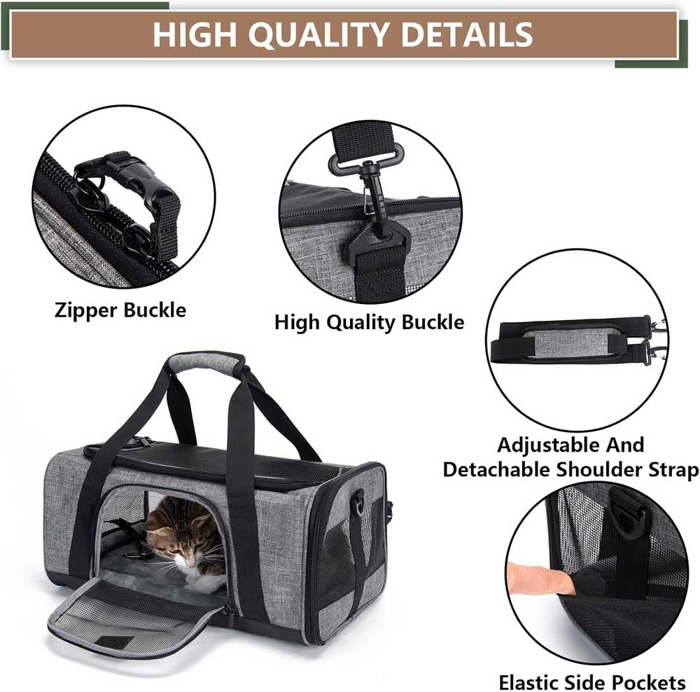 katten draagtas vliegtuig klm