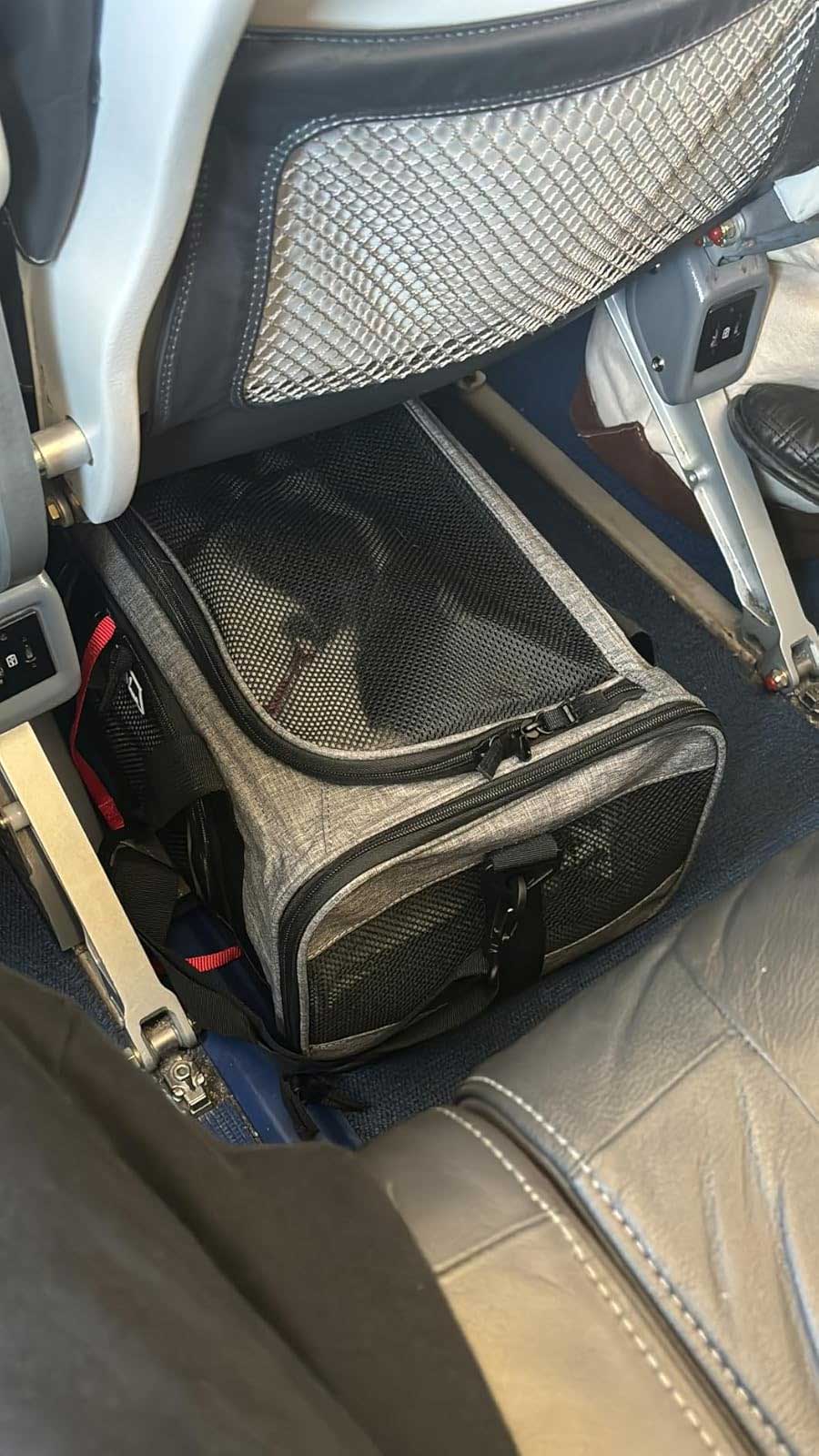 KLM approved cat carrier 46x28x24 cm