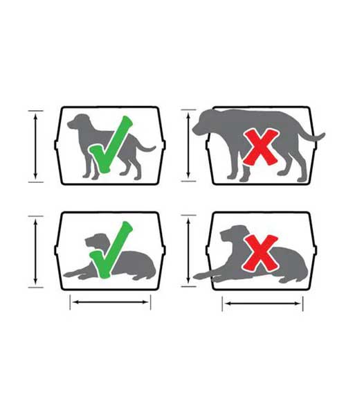 KLM reisbench 102 x 69 x 76 cm voor grote hond in vliegtuig