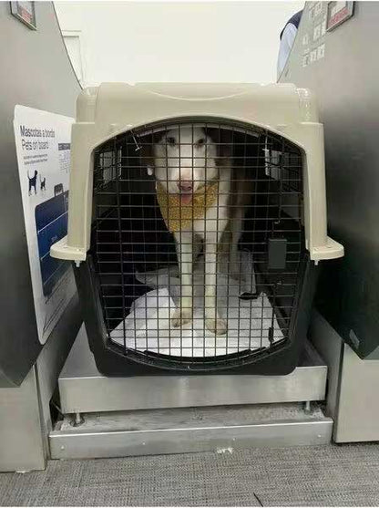 KLM reisbench 102 x 69 x 76 cm voor grote hond in vliegtuig