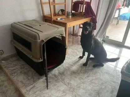 KLM reisbench 102 x 69 x 76 cm voor grote hond in vliegtuig