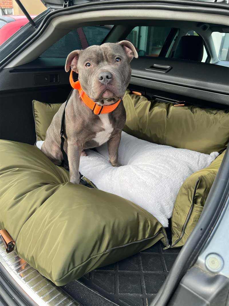 Large dog bed for the back seat of the car