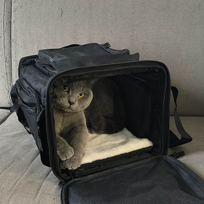 Grijze kat ligt op het matje achter de open voordeur van de tas