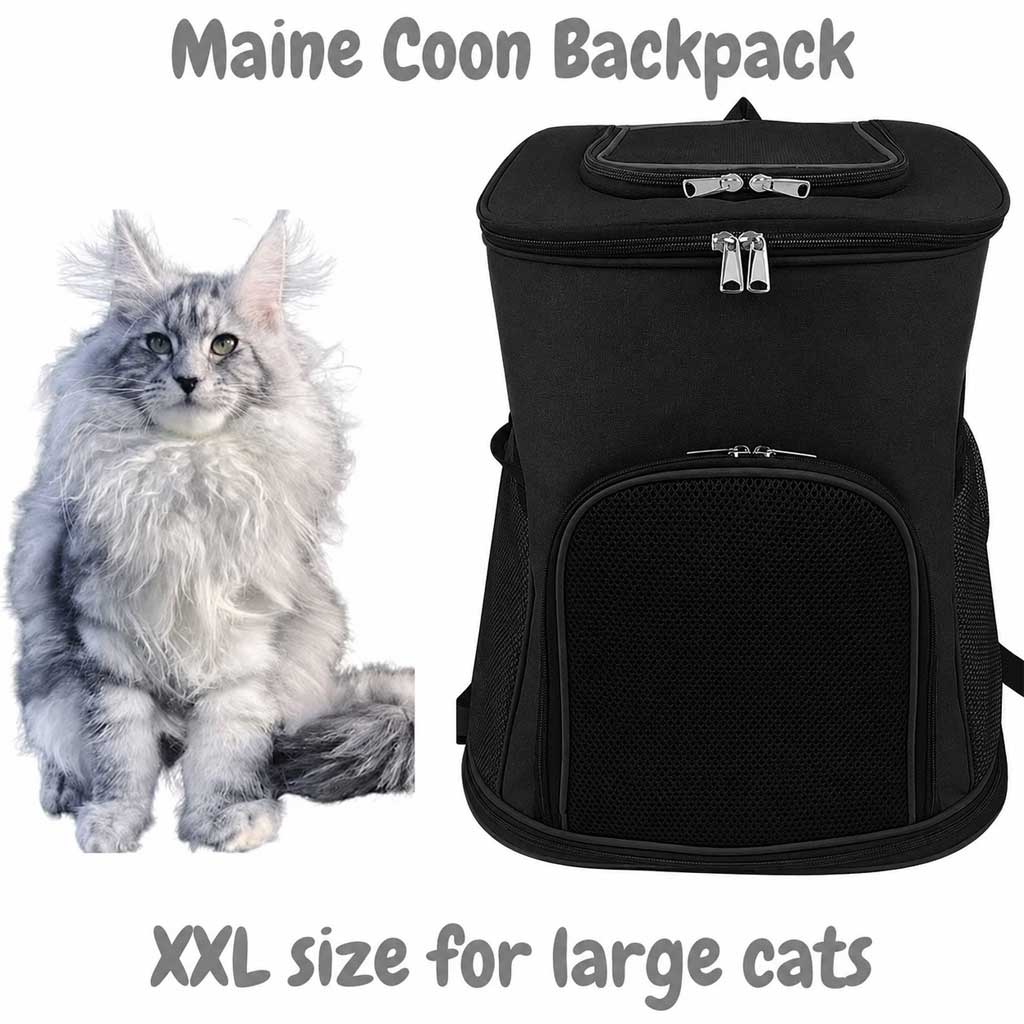 Maine Coon backpack 40x31x54cm, extra large cat carrier fot breeds up to 12 kg