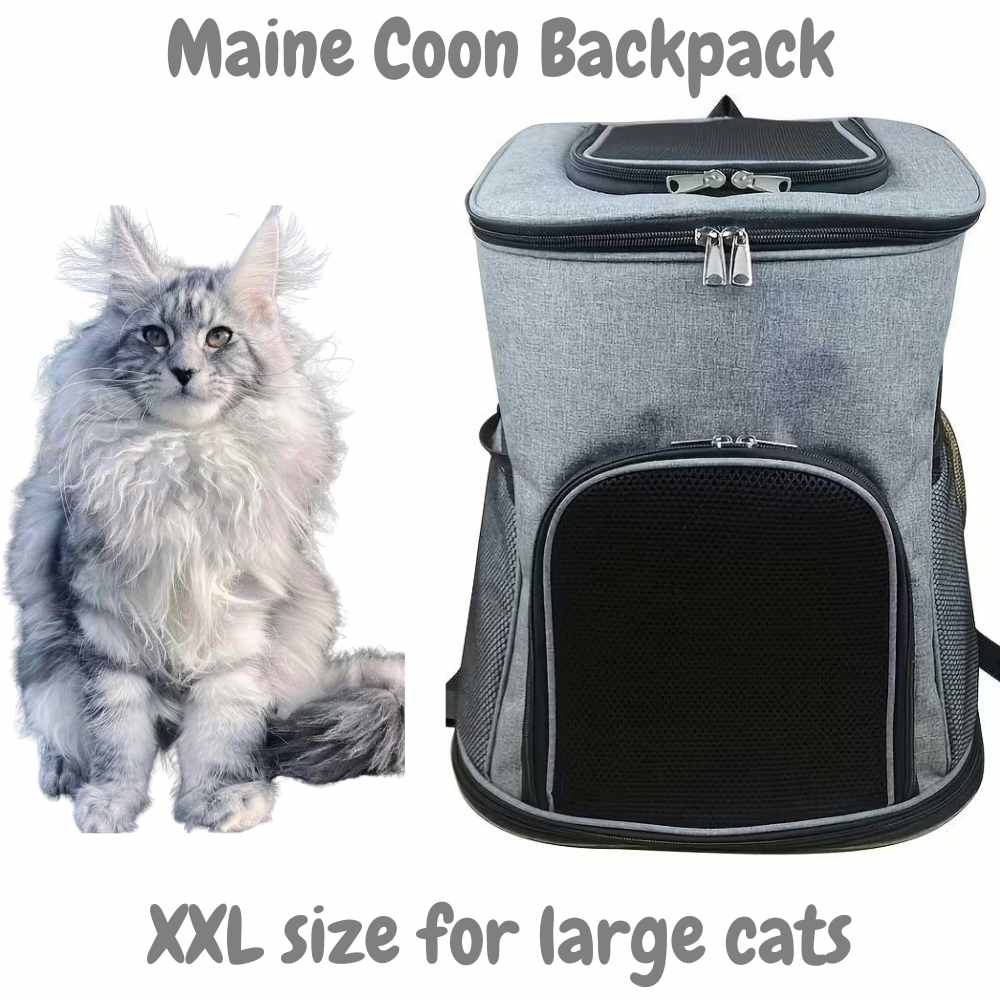 Maine Coon rugzak 40x31x54cm, grote katten draagzak tot 12 kg