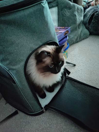 Maine Coon rugzak 40x31x54cm, grote katten draagzak tot 12 kg