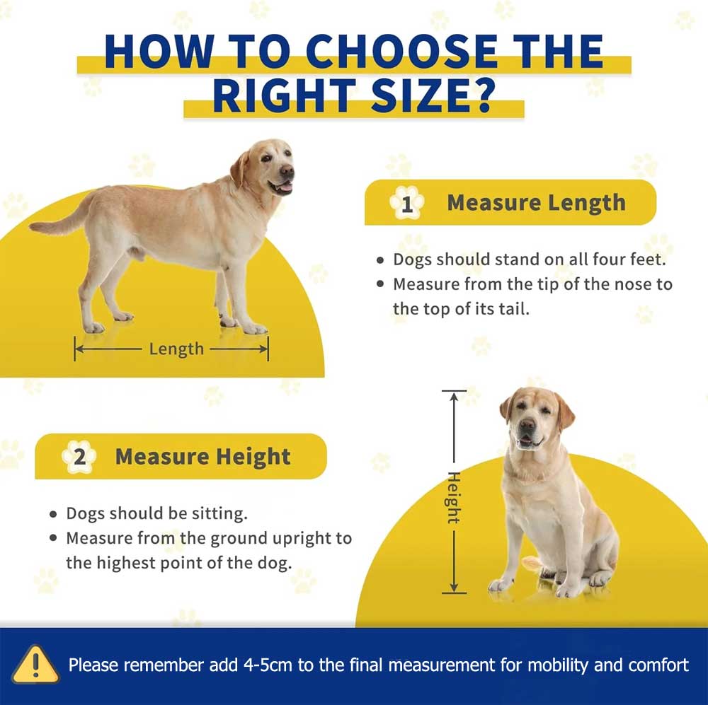 how to measure dog for carrier