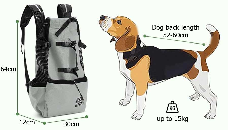 hoe meet je een hond voor een rugzak