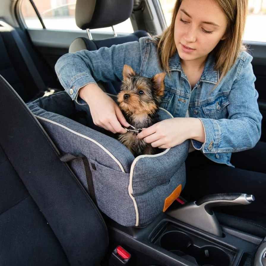car middle console dog seat