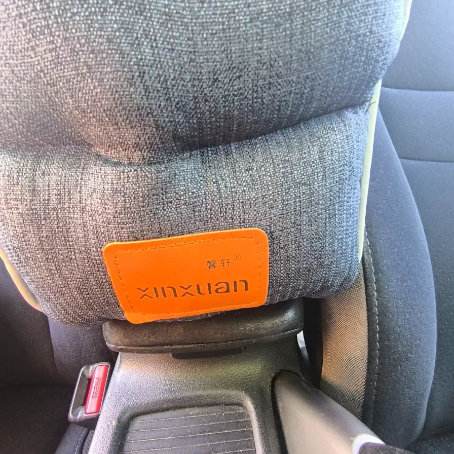 Car seat dog center console 48x25x21, up to 6 kg