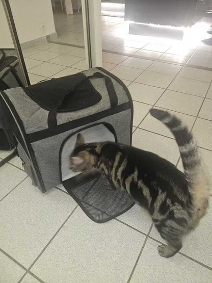 Nestigo cat carrier backpack XL 51x32x41 cm up to 12 kg