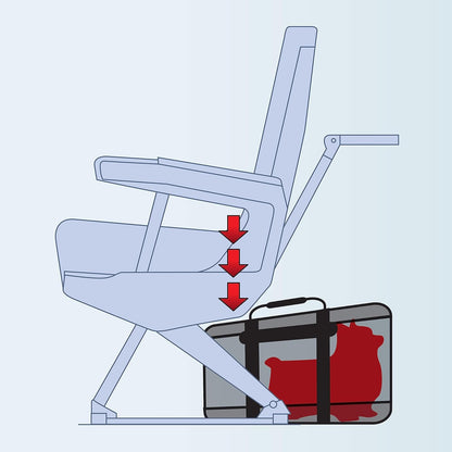 SAS hondendraagtas 40x25x23cm premium