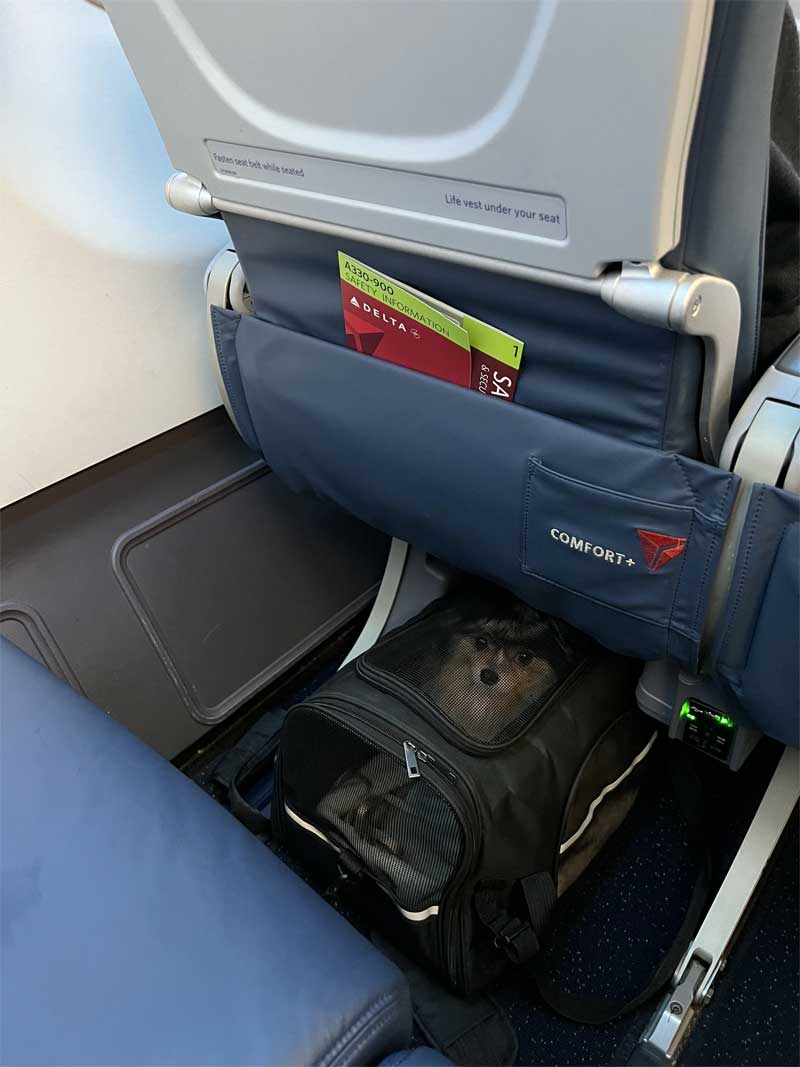 transavia huisdier in de cabine