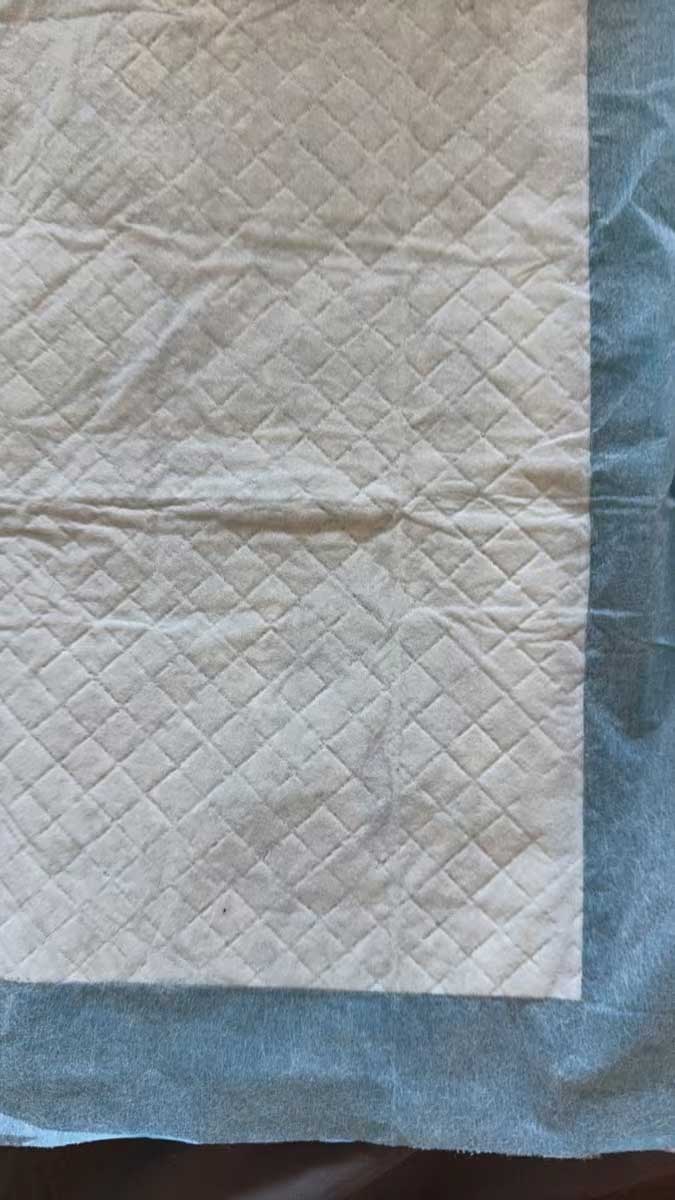 Absorberende Reispads 45x33cm voor Honden- & Kattentassen (10 stuks)