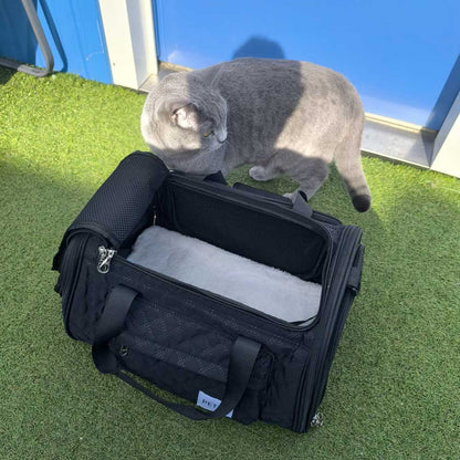Transavia reistas hond vliegtuig 40x30x24 (uitbreidbaar)