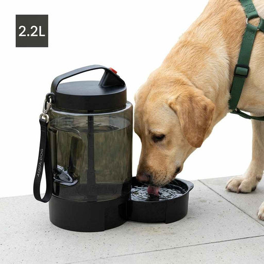Calypso Outdoor Water Bottle 2.2L — Portable Drinking Bottle for Large Dog