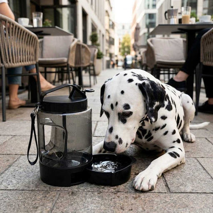 Calypso Outdoor Water Bottle 2.2L — Portable Drinking Bottle for Large Dog