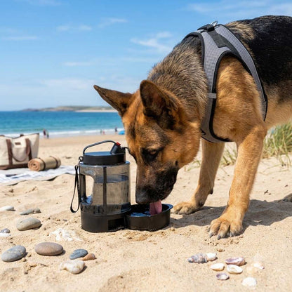 Calypso Outdoor Water Bottle 2.2L — Portable Drinking Bottle for Large Dog