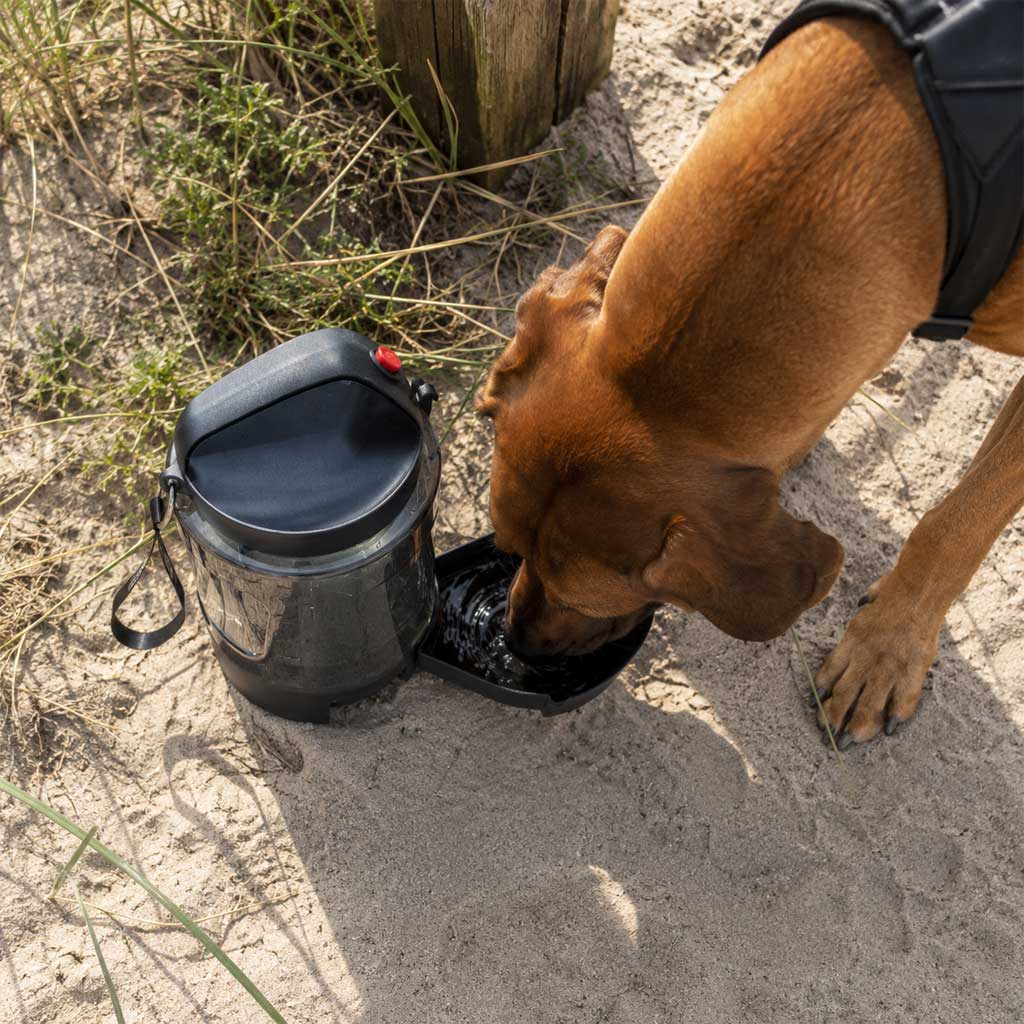 Calypso Outdoor Water Bottle 2.2L — Portable Drinking Bottle for Large Dog