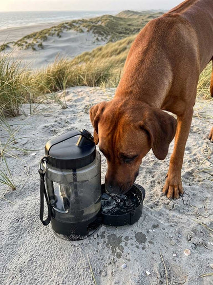 Calypso Outdoor Water Bottle 2.2L — Portable Drinking Bottle for Large Dog