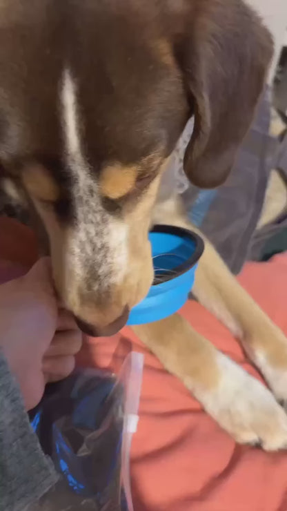 Portable silicone dog bowl 13x5.5cm, collapsible