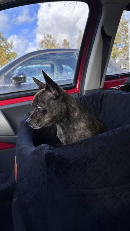 Raised car seat for small dogs 48x48x40 cm