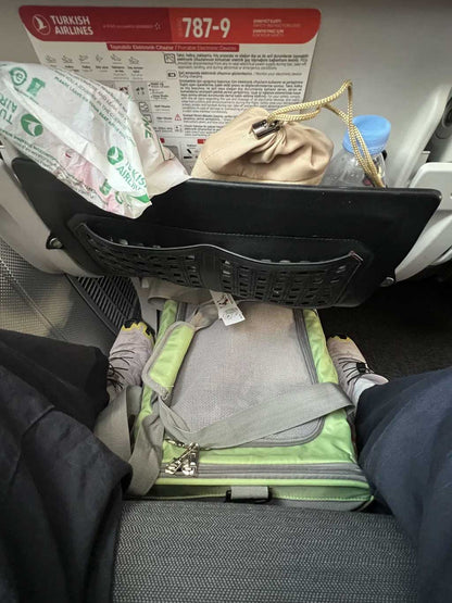 Selene air pet carrier, size 40x30x24cm, in-cabin under seat