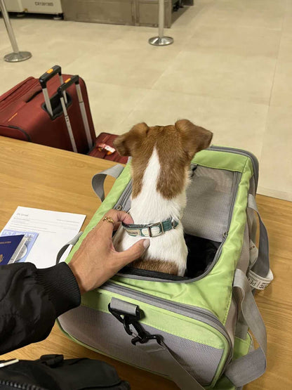 Selene air pet carrier, size 40x30x24cm, in-cabin under seat