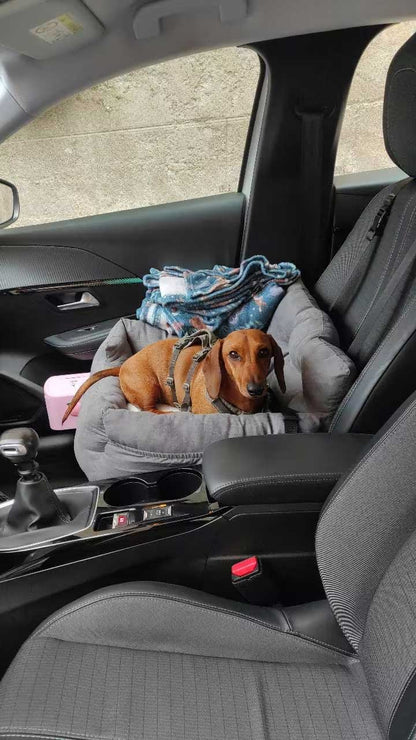 Autostoel kussen hond 50x55x35 cm