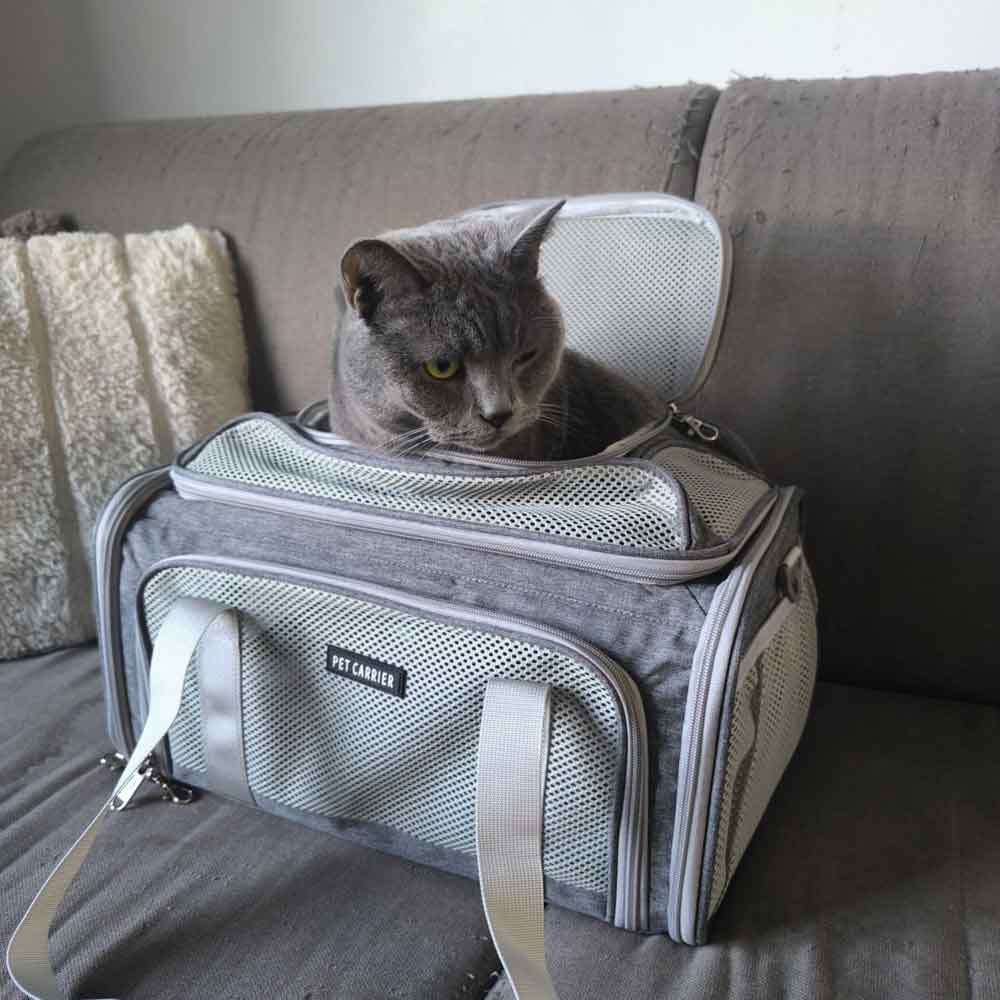 transavia pet in cabin carrier