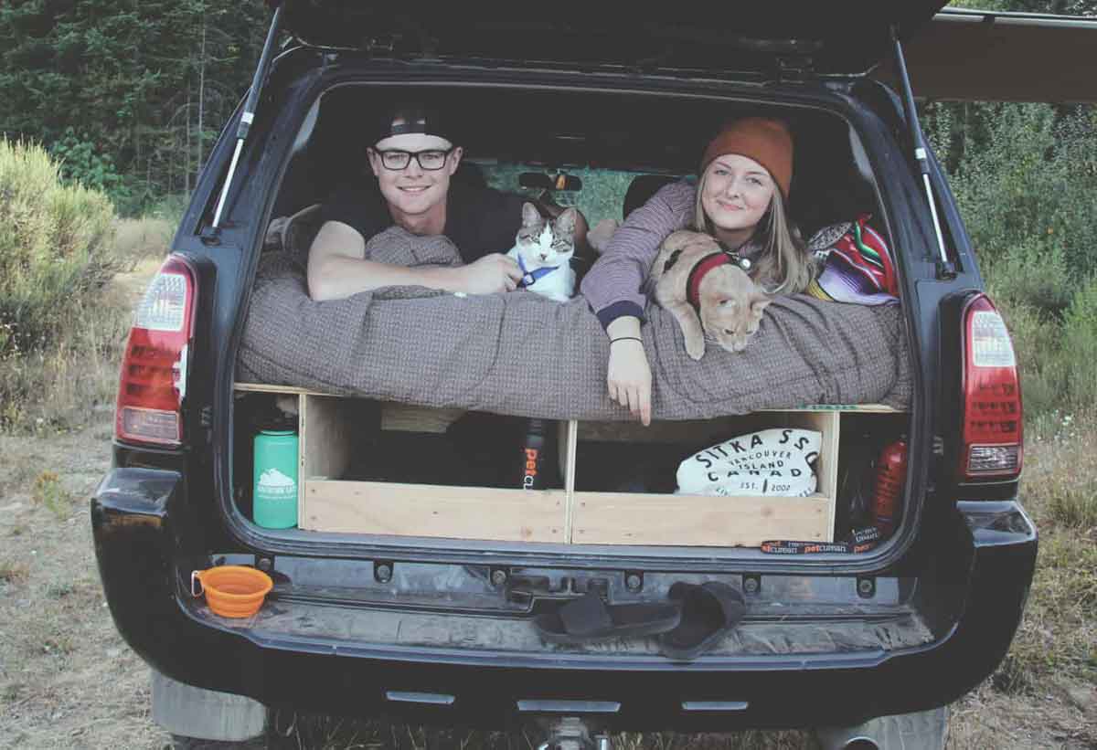 travelling with cats in car