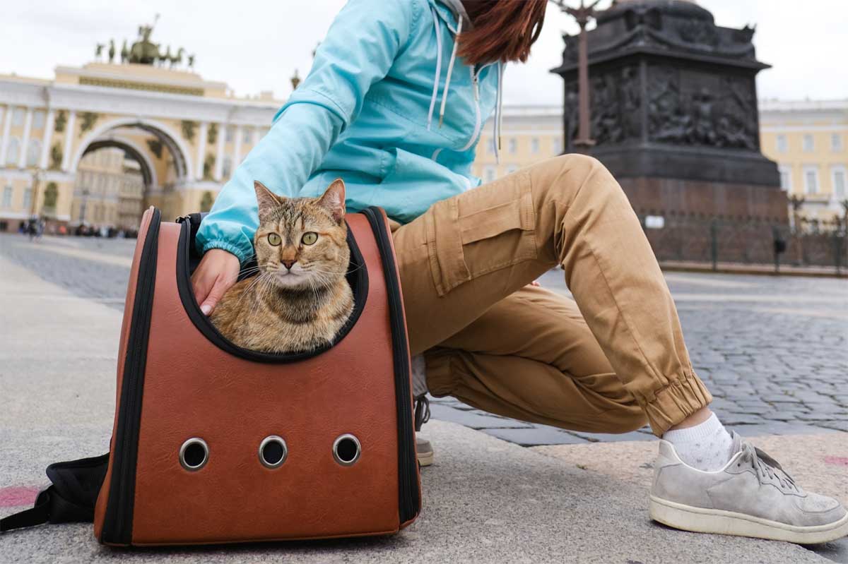 Een kat opmeten voor een rugzak