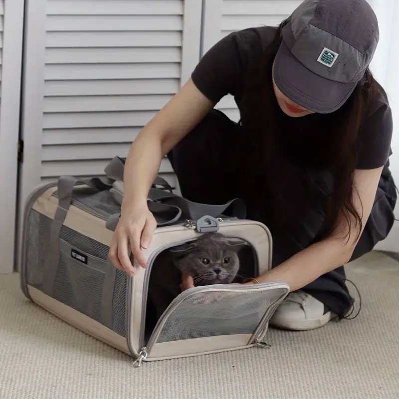 turkish airlines pet carrier