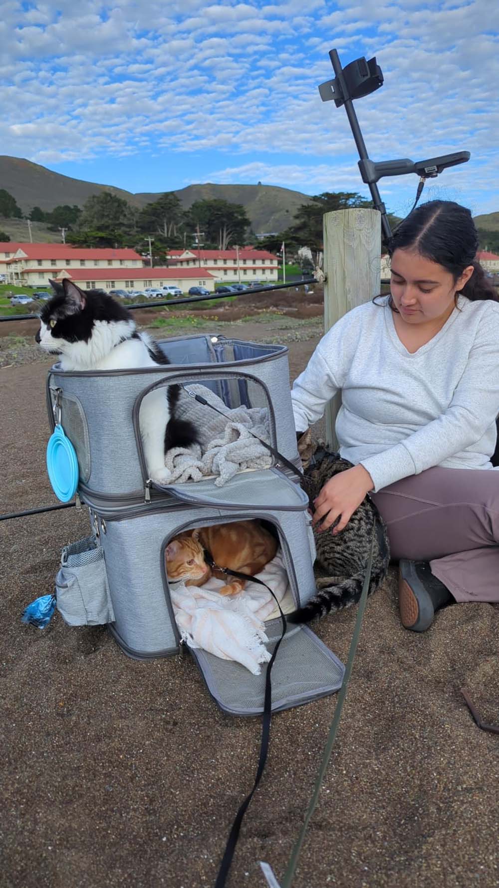 Kattenmand groot genoeg voor twee katten