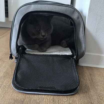 Kat ligt thuis op het pluche matje in de rugzak met de voorklep open