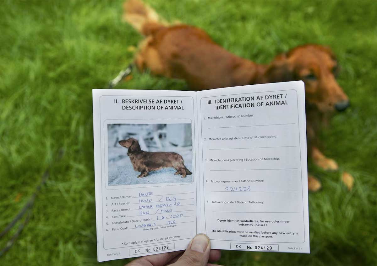 what documents are needed for pets to travel