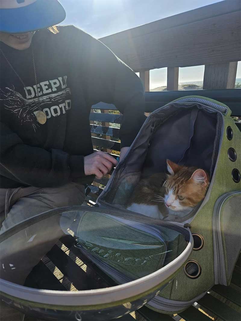 Whiskora cat backpack