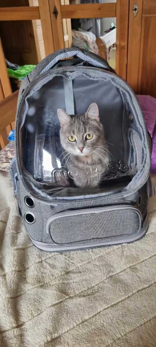 Whiskora Cat backpack with bubble window up to 6kg