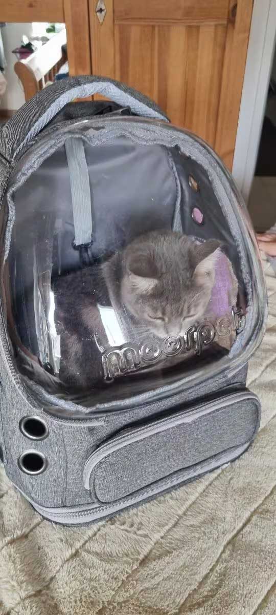 Whiskora Cat backpack with bubble window up to 6kg