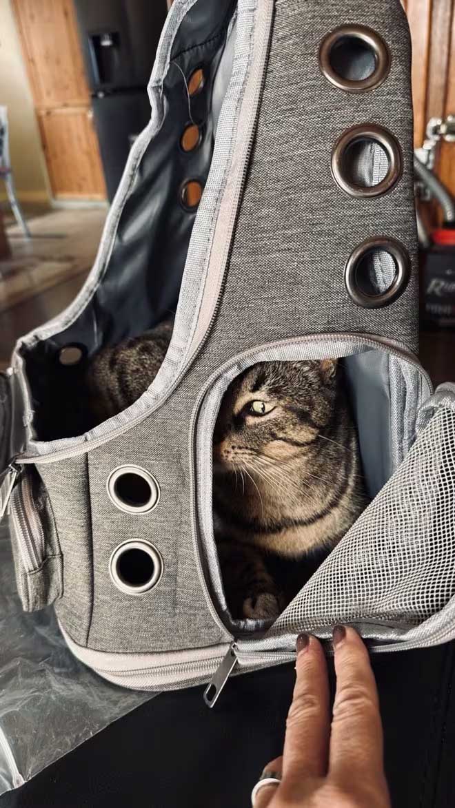 Whiskora Cat backpack with bubble window up to 6kg