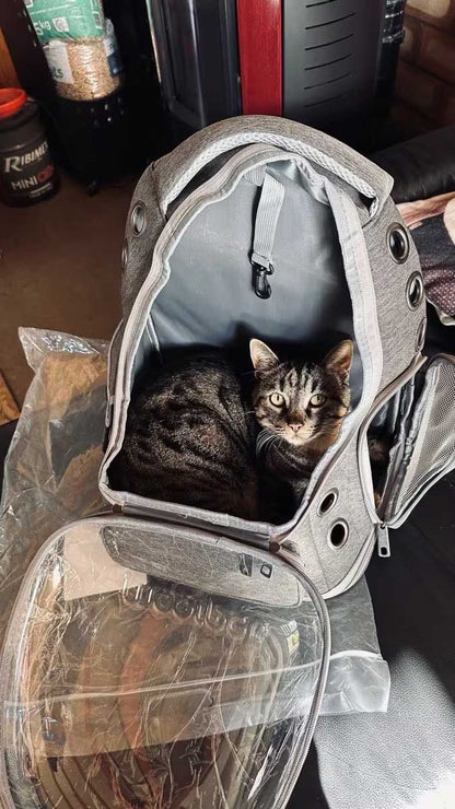 Whiskora Cat backpack with bubble window up to 6kg